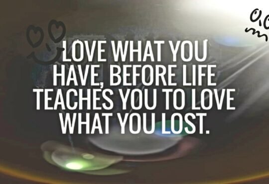 Love What You Have Before Life Teaches You to Love