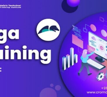 Pega Training