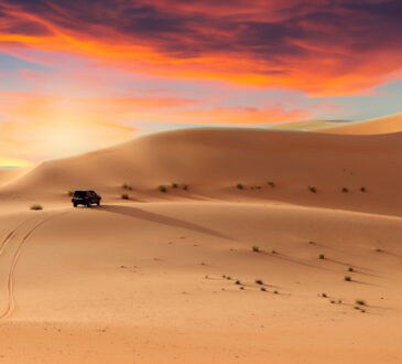 Desert Safari in Abu Dhabi
