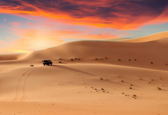 Desert Safari in Abu Dhabi