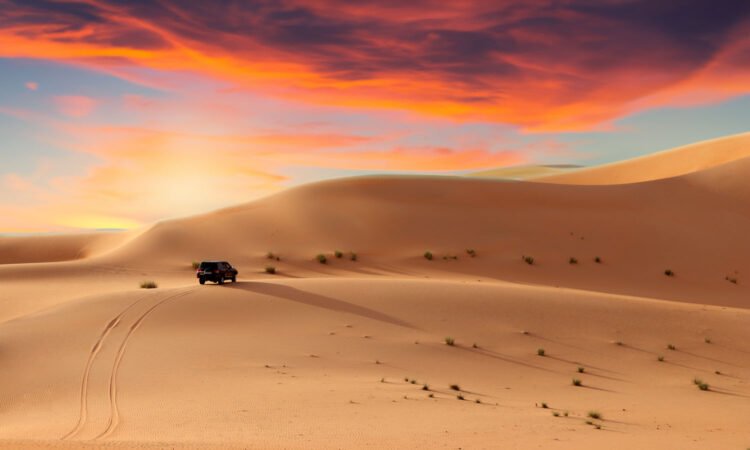 Desert Safari in Abu Dhabi