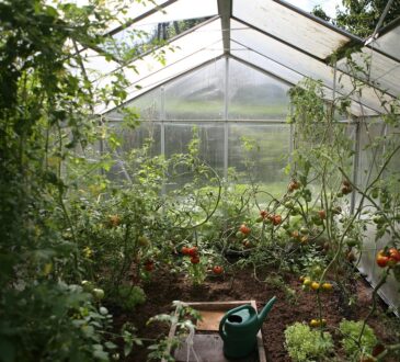 garden area
