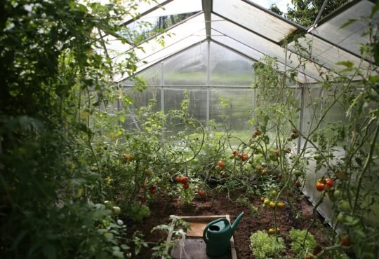 garden area