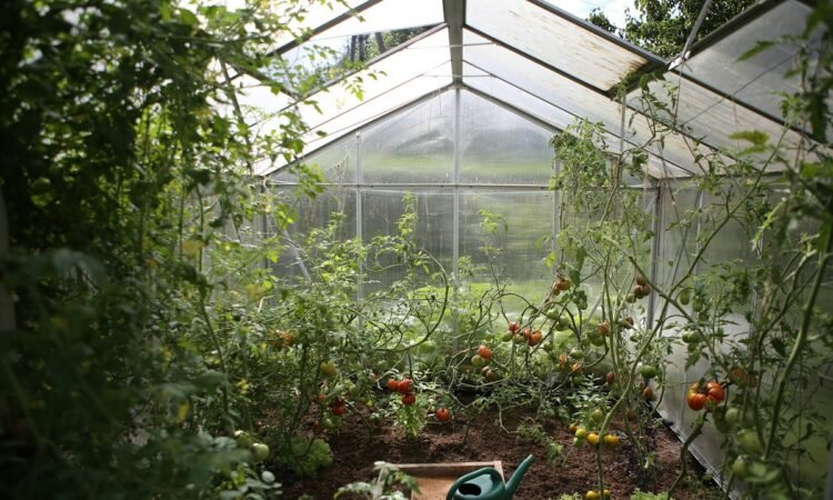 garden area