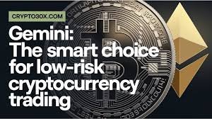Crypto30x.com Gemini