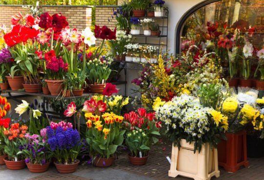 Floral Shop