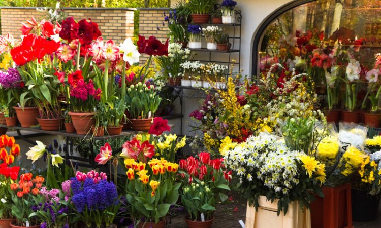 Floral Shop