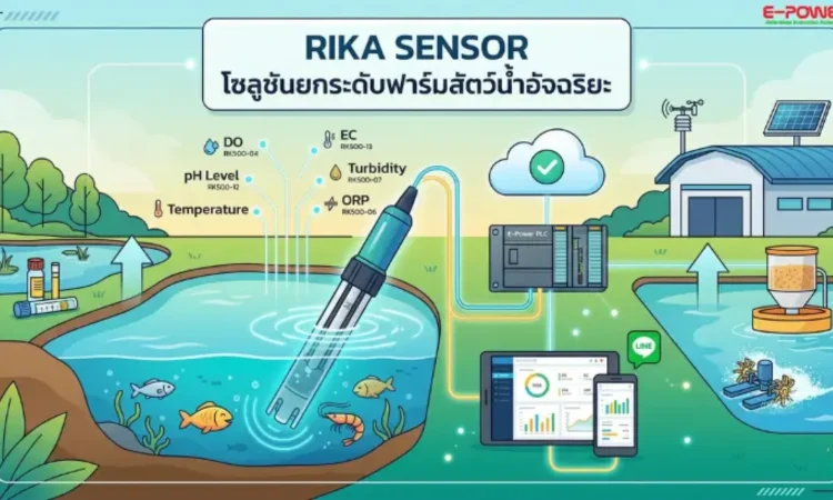 Rika Sensor
