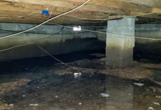 The Role of Basement Waterproofing in Mold Prevention