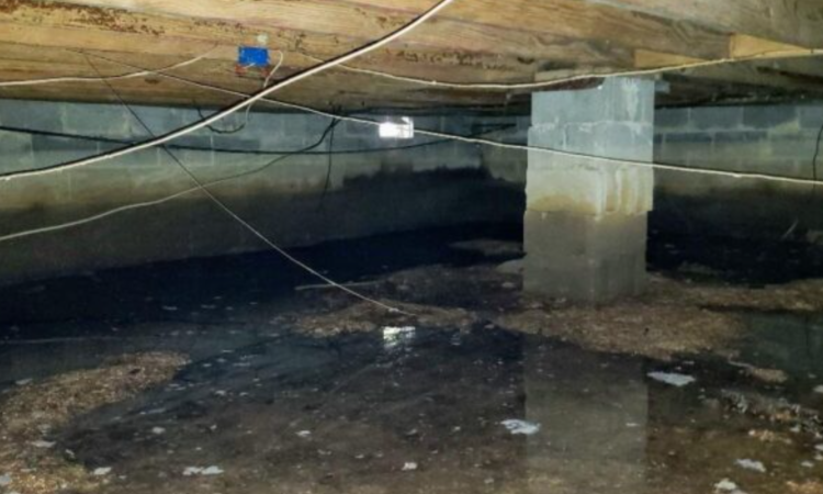 The Role of Basement Waterproofing in Mold Prevention